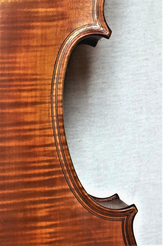 Cello lab selva bologna - cello, "g.