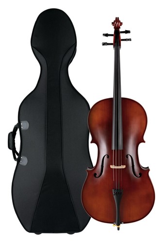 Tolles einsteiger cello - 4/4, einsteiger-cello