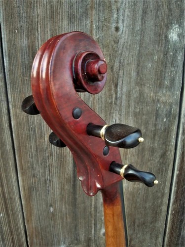 Cello mit zettel - mit,