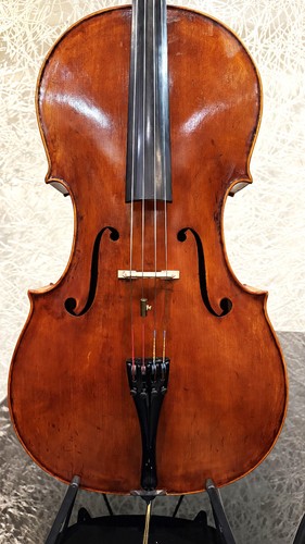 Violoncello meister cello - violoncello,