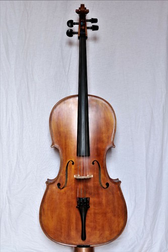 Altes cello lab g selva - 4/4, "g.
