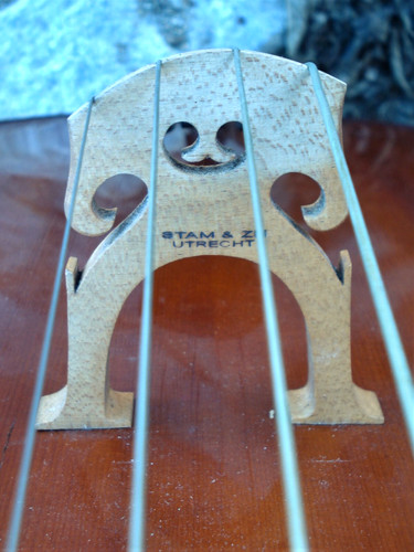 Cello full augsburg - augsburg, 1969"
