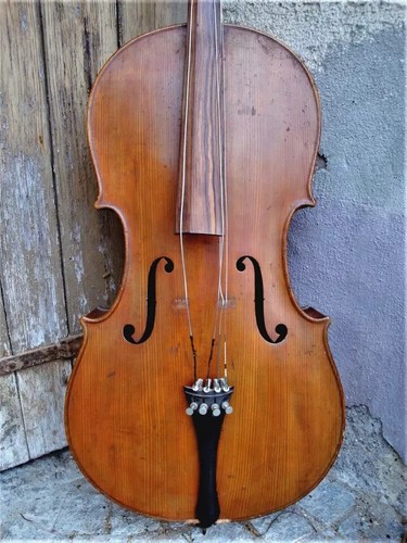 Cello lab neuner - cello, lab.