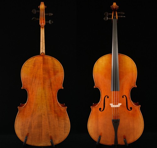 Akustik cello montagnana - akustik,