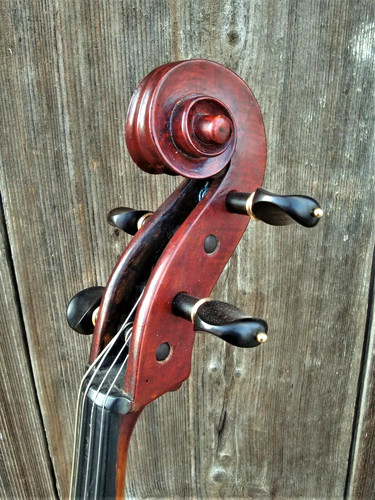 Cello old - -,