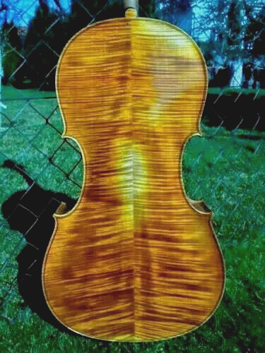 Cello f ruggieri - n.,